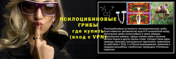 гашик Верхний Тагил